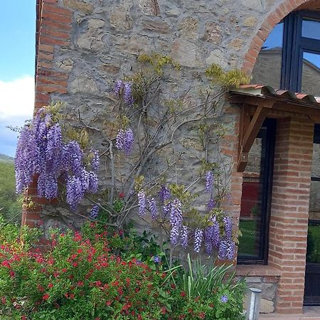 Podere Casalbosco - Idromassaggio E Panorama Rapolano Terme Exterior foto
