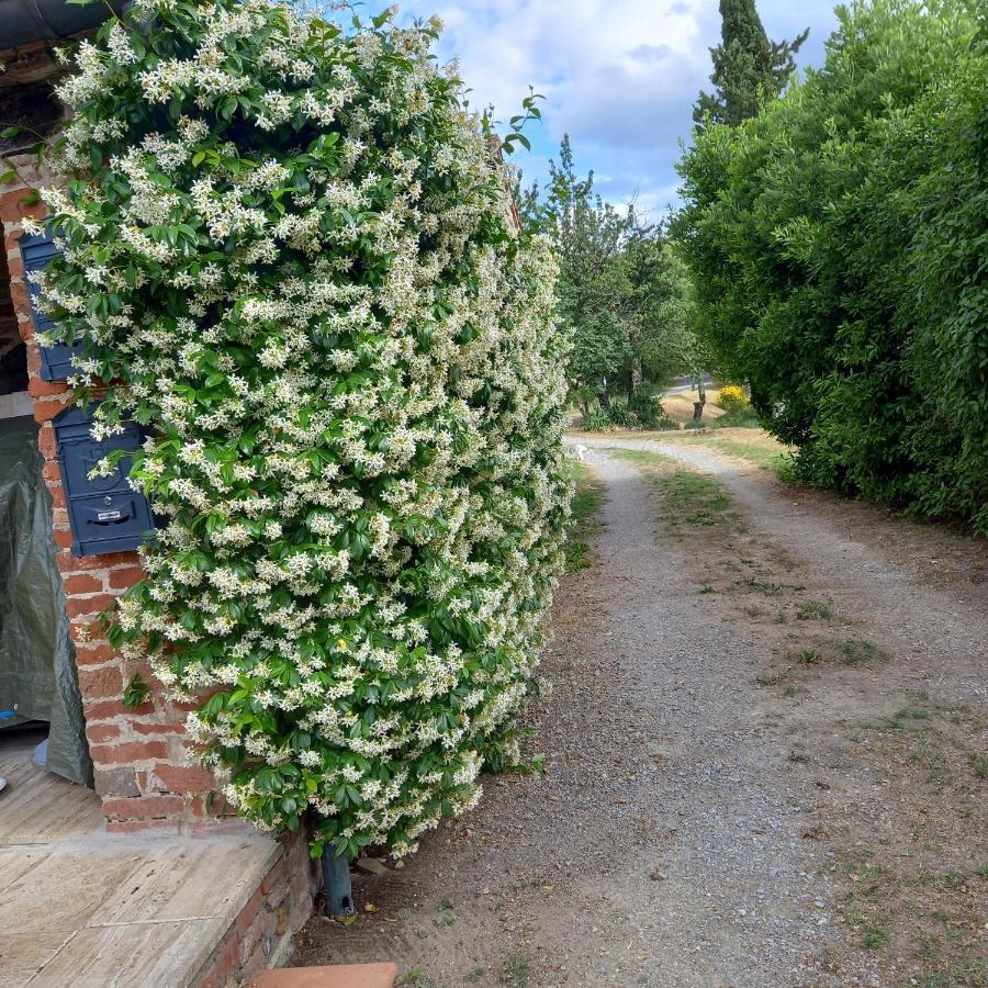 Podere Casalbosco - Idromassaggio E Panorama Rapolano Terme Exterior foto