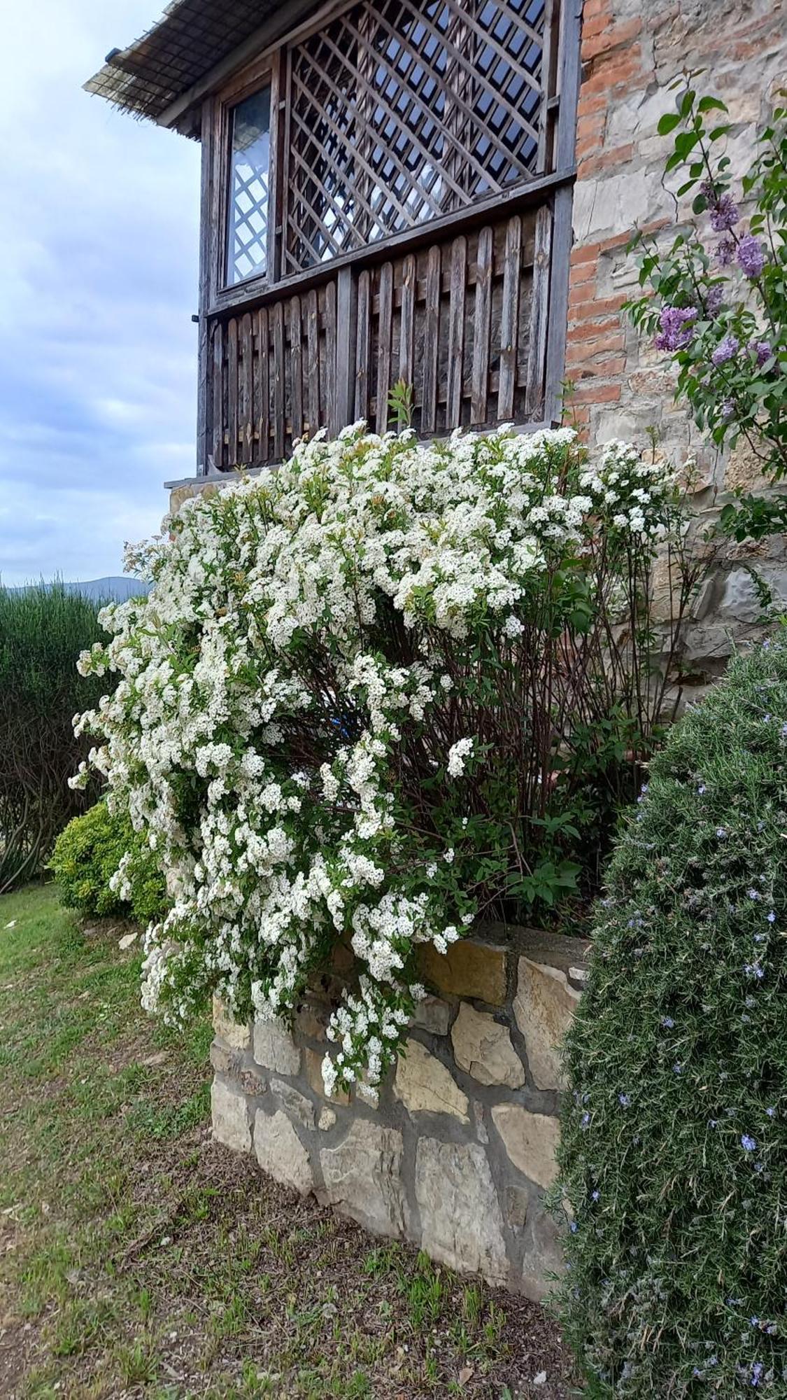 Podere Casalbosco - Idromassaggio E Panorama Rapolano Terme Exterior foto